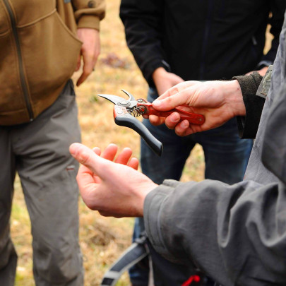 Kurz řezu ovocných stromů s Dominikem Grohmannem VYPRODÁNO