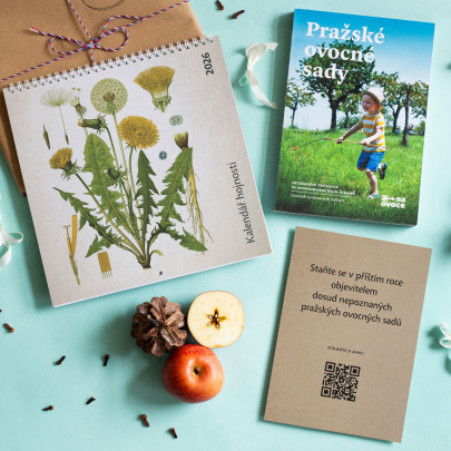 Vánoční balíček "Rok hojnosti" VYPRODÁNO