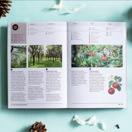 Vánoční balíček "Rok hojnosti"