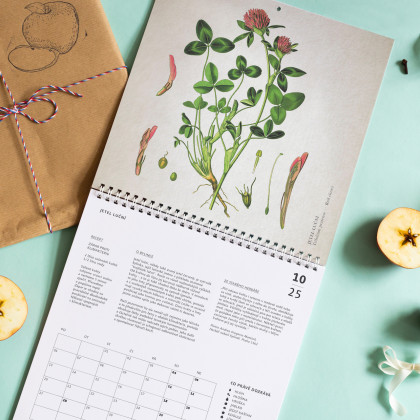 Kalendář hojnosti 2025