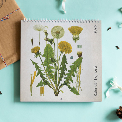 Vánoční balíček "Rok hojnosti"