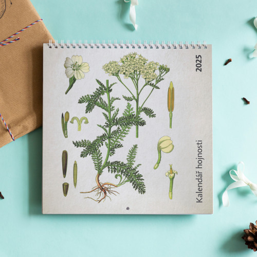 Kalendář hojnosti 2025